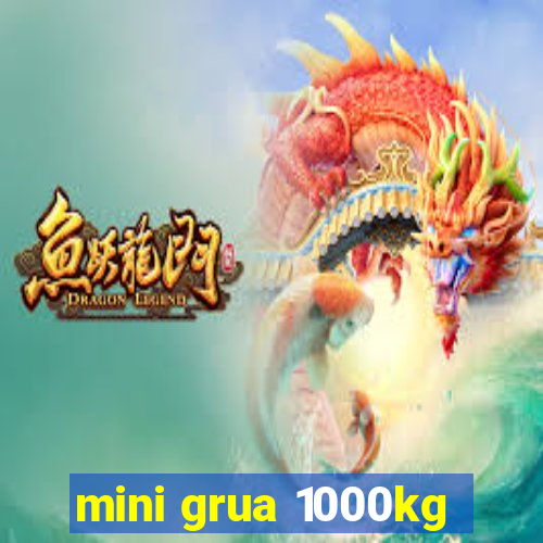 mini grua 1000kg